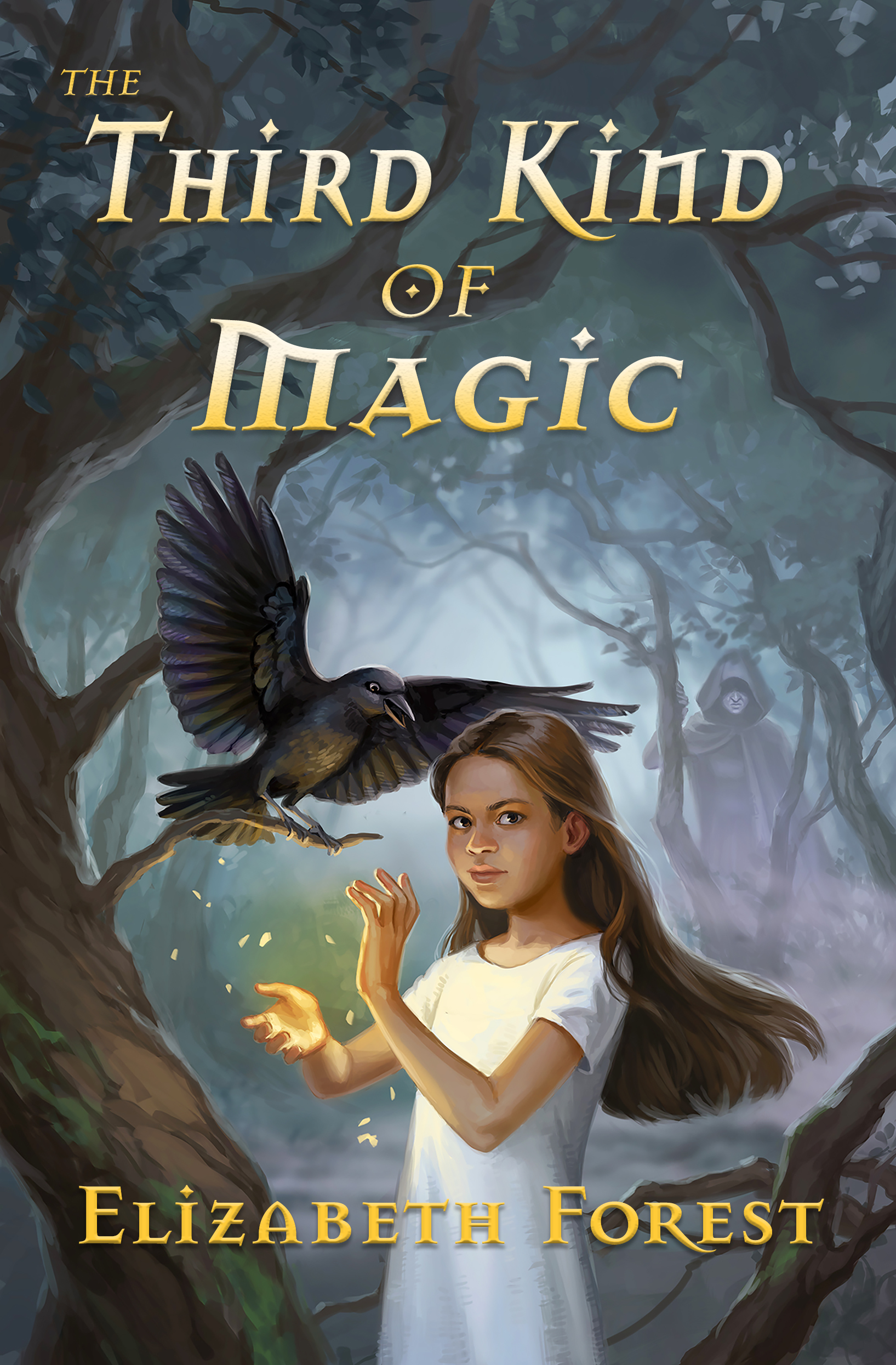 book cover third kind of magic, girl and crow